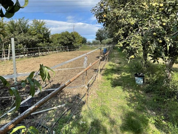 terreno agricolo in vendita a Pesaro in zona Case Bruciate