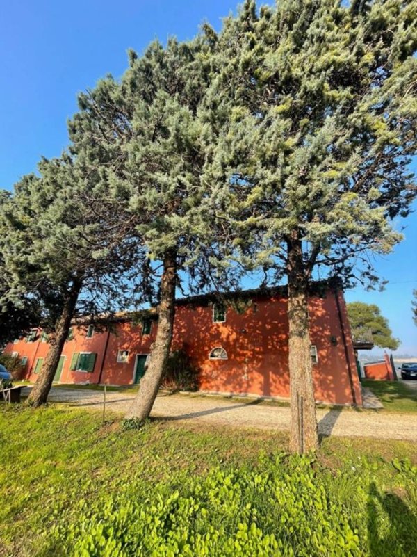negozio in vendita a Pesaro