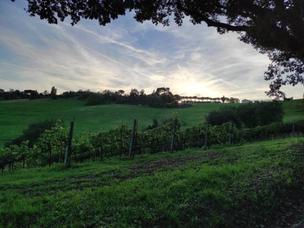 appartamento in vendita a Pesaro in zona Candelara