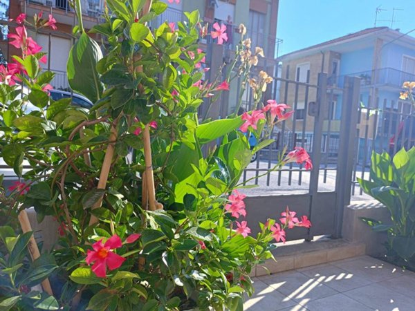 casa indipendente in vendita a Pesaro in zona Centro Città