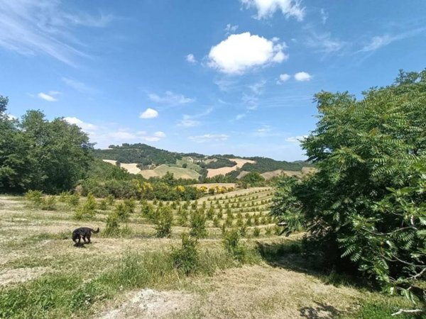 casa indipendente in vendita a Pesaro