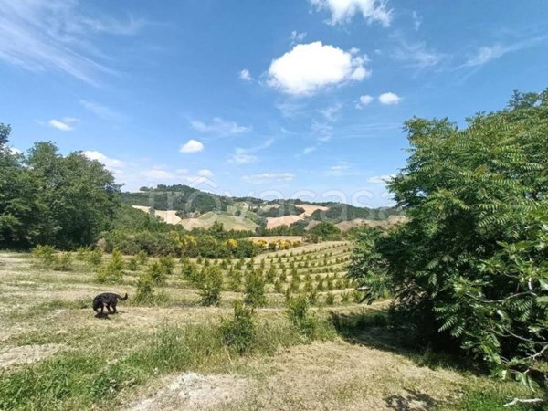 casa indipendente in vendita a Pesaro in zona Monteciccardo