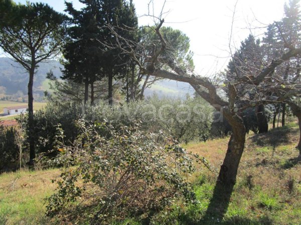 casa indipendente in vendita a Pesaro in zona Vismara