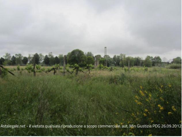 terreno agricolo in vendita a Pesaro