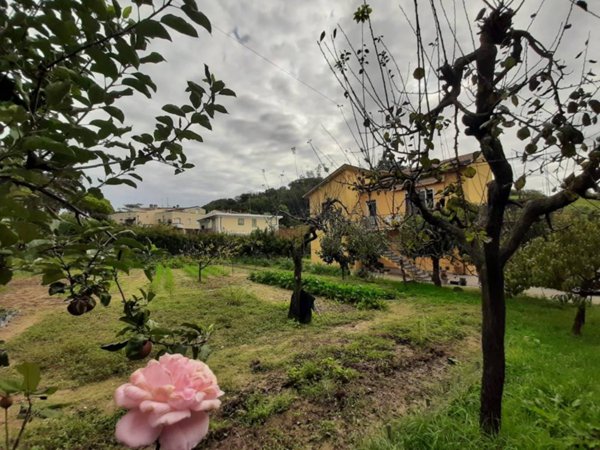 casa indipendente in vendita a Pesaro in zona Muraglia