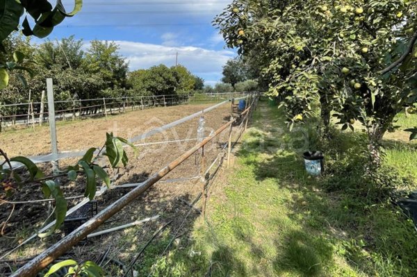 terreno agricolo in vendita a Pesaro in zona Case Bruciate