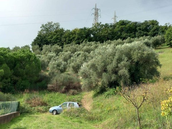 terreno agricolo in vendita a Pesaro in zona Santa Veneranda