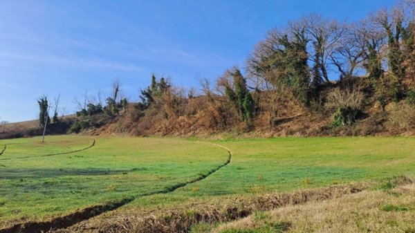 terreno agricolo in vendita a Pesaro in zona Novilara