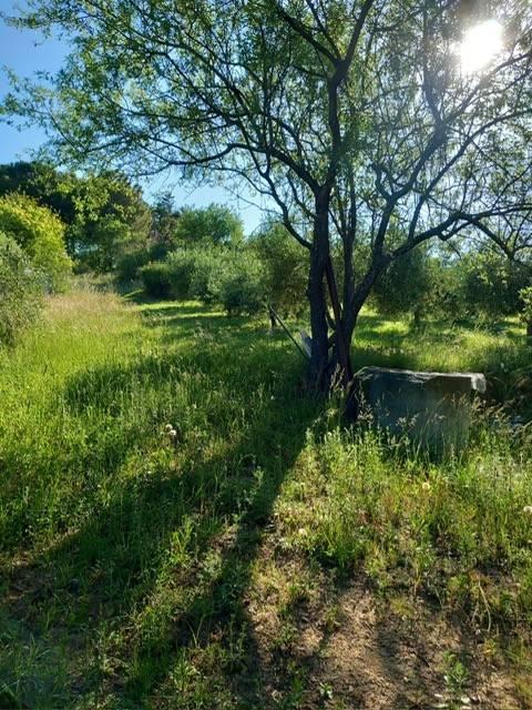 terreno agricolo in vendita a Pesaro