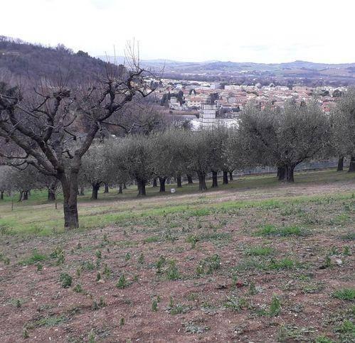 casa indipendente in vendita a Pesaro in zona Villa Fastiggi