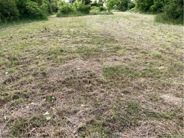 terreno agricolo in vendita a Pesaro