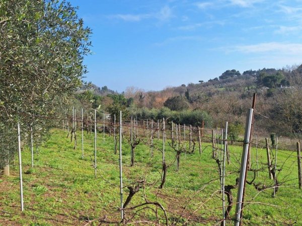 casa indipendente in vendita a Pesaro in zona Trebbiantico