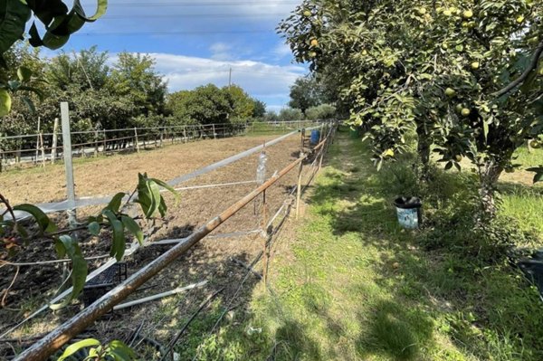 terreno agricolo in vendita a Pesaro in zona Centro Città