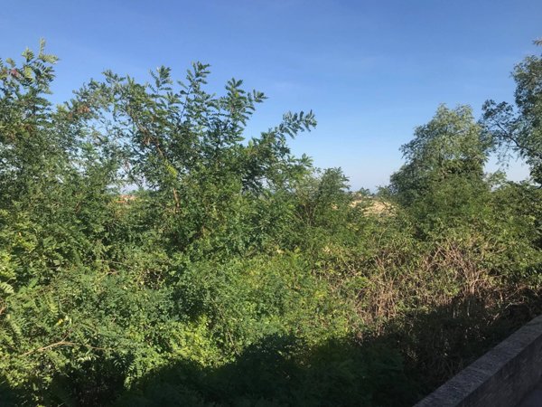 casa indipendente in vendita a Pesaro in zona Villa Ceccolini