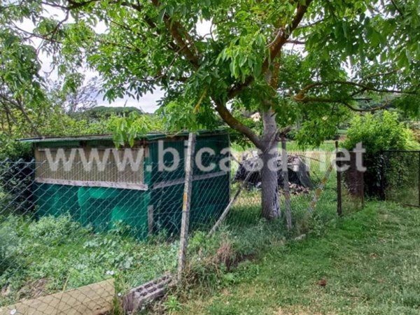 terreno agricolo in vendita a Pesaro in zona Trebbiantico