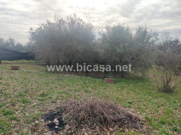 terreno agricolo in vendita a Pesaro in zona Borgo Santa Maria