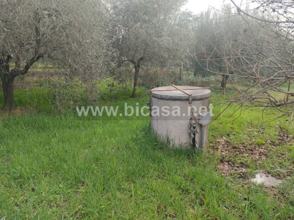 terreno agricolo in vendita a Pesaro in zona Borgo Santa Maria
