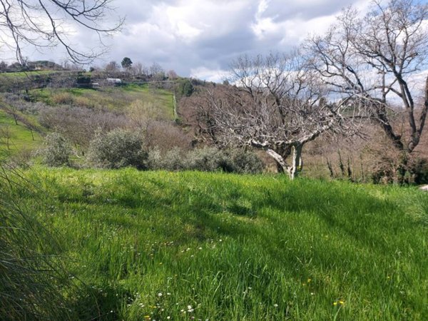casa indipendente in vendita a Pesaro in zona Villa Fastiggi