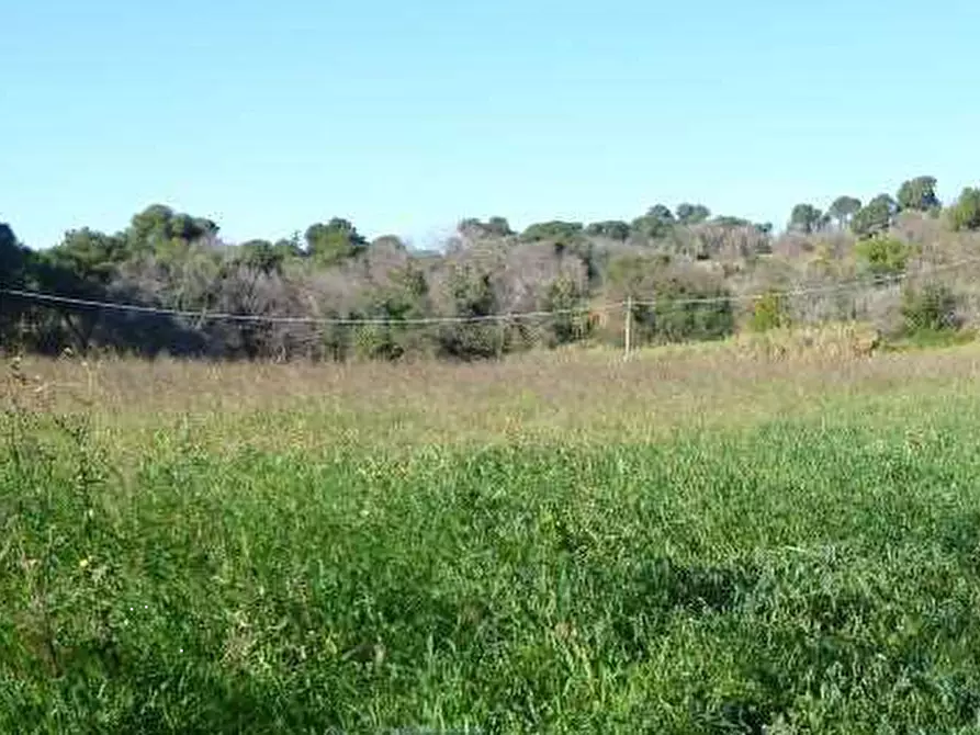 terreno agricolo in vendita a Pesaro in zona San Bartolo