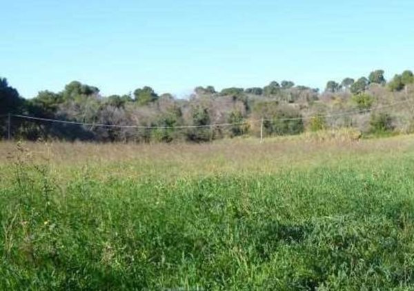 terreno agricolo in vendita a Pesaro in zona Pantano