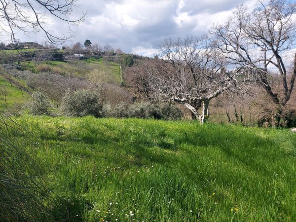 casa indipendente in vendita a Pesaro in zona Villa Fastiggi