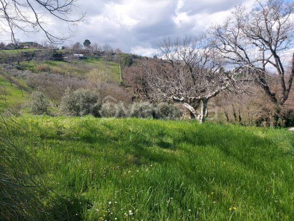 casa indipendente in vendita a Pesaro in zona Villa Fastiggi