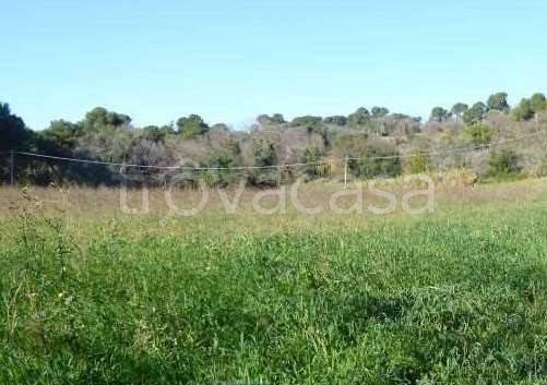 appartamento in vendita a Pesaro in zona Soria