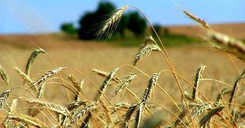 appartamento in vendita a Pesaro in zona Borgo Santa Maria