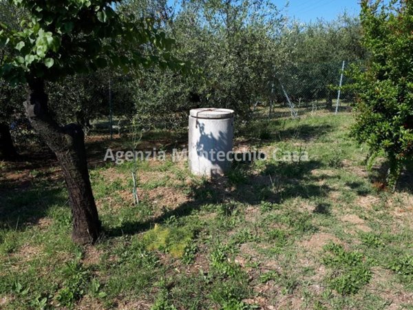 terreno agricolo in vendita a Pesaro in zona Borgo Santa Maria