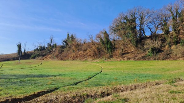 terreno agricolo in vendita a Pesaro in zona Novilara