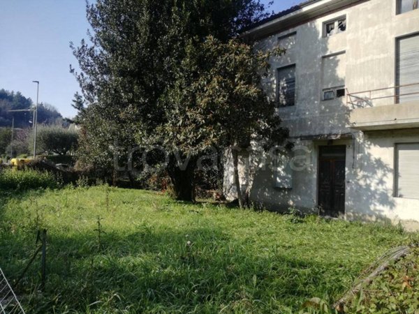 immagine annuncio 0 di 15