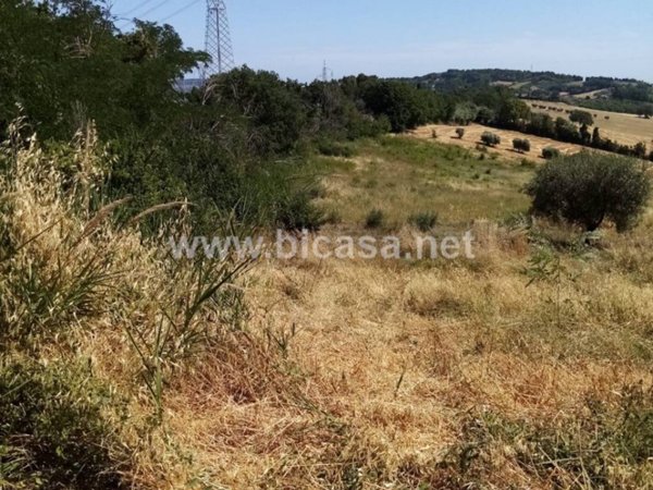 terreno agricolo in vendita a Pesaro in zona Villa Fastiggi