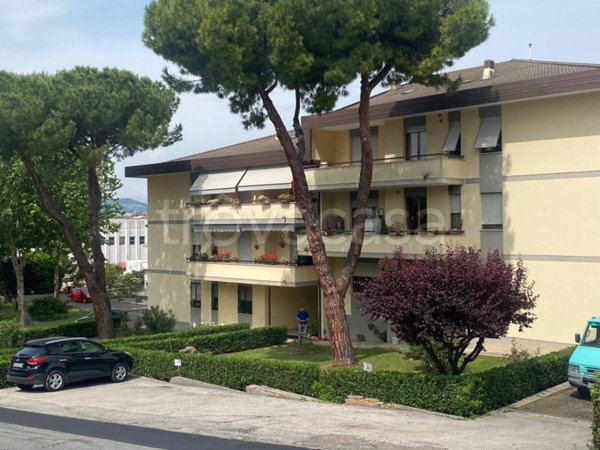 appartamento in vendita a Pesaro in zona Cattabrighe