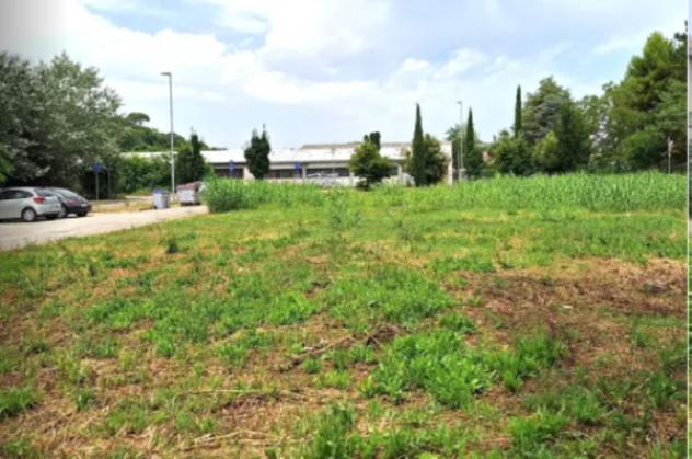 terreno agricolo in vendita a Pesaro in zona Cattabrighe