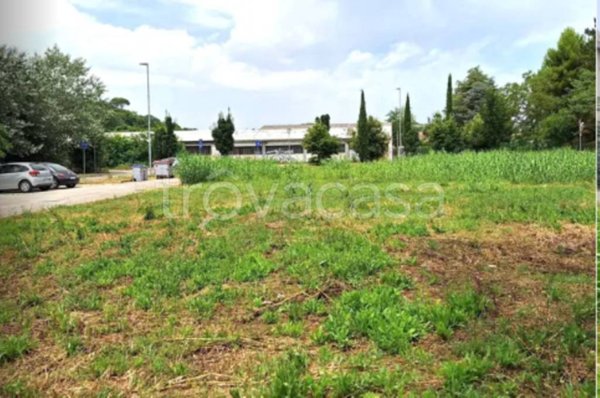 terreno agricolo in vendita a Pesaro in zona Cattabrighe