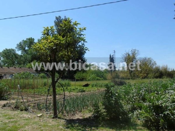 locale commerciale in vendita a Pesaro in zona Cattabrighe
