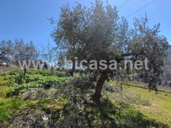 terreno agricolo in vendita a Pesaro in zona Novilara