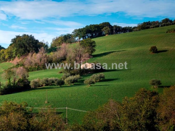 appartamento in vendita a Pesaro in zona Monteciccardo