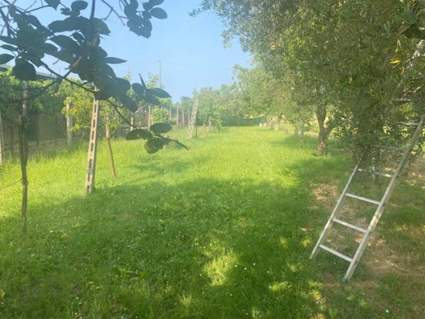 casa indipendente in vendita a Pesaro in zona Villa Fastiggi