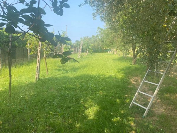 casa indipendente in vendita a Pesaro in zona Villa Fastiggi