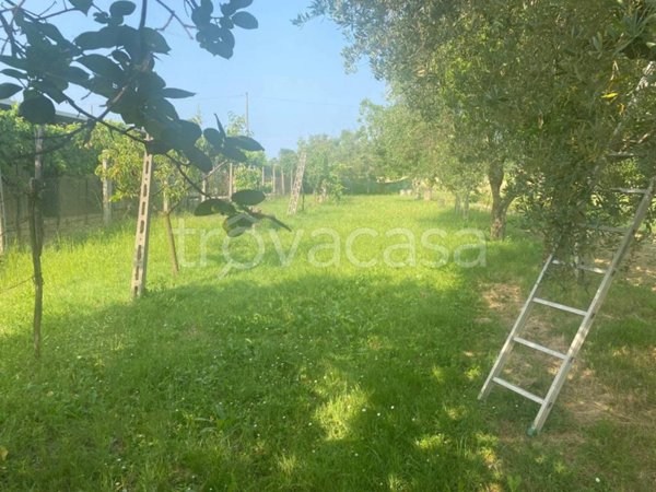 casa indipendente in vendita a Pesaro in zona Villa Fastiggi