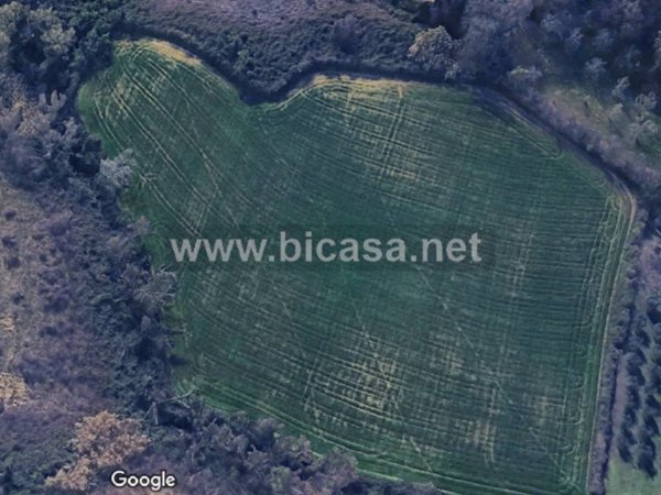 terreno agricolo in vendita a Pesaro in zona Santa Maria dell'Arzilla