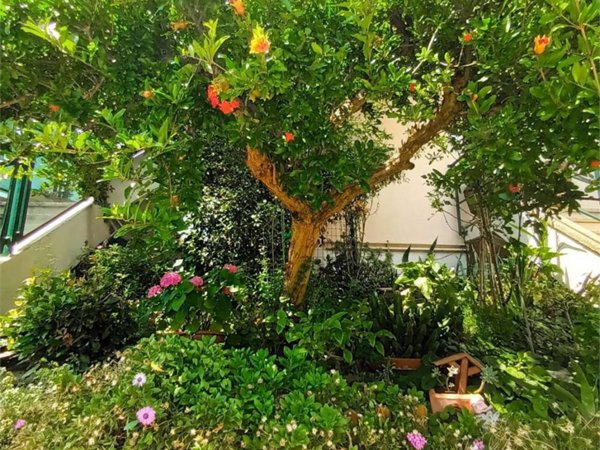 appartamento in vendita a Pesaro in zona Monteciccardo