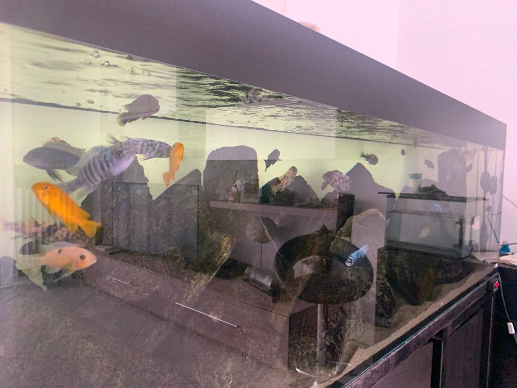 appartamento in vendita a Pesaro