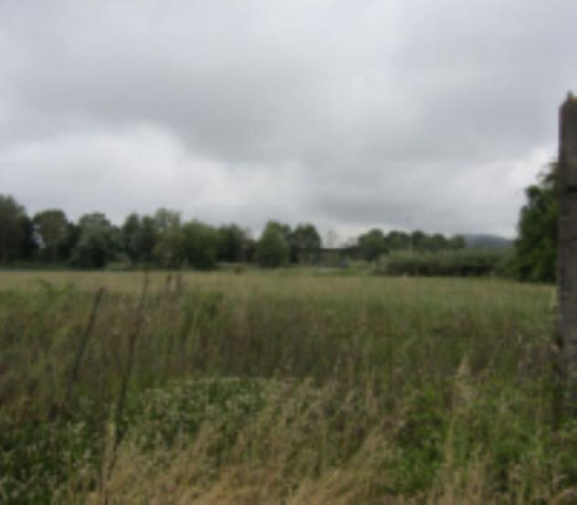 terreno agricolo in vendita a Pesaro