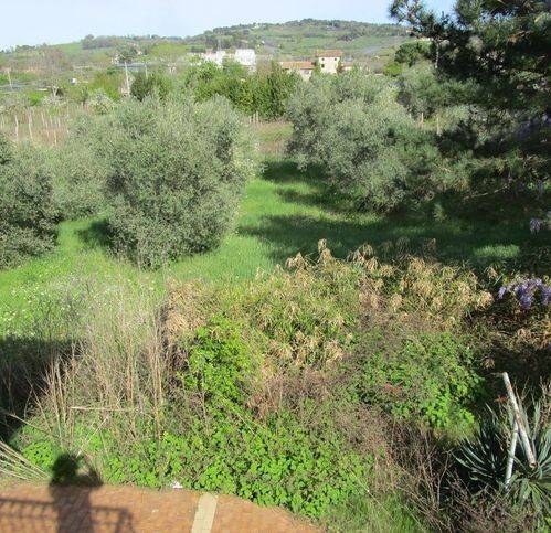 casa indipendente in vendita a Pesaro in zona Villa Fastiggi