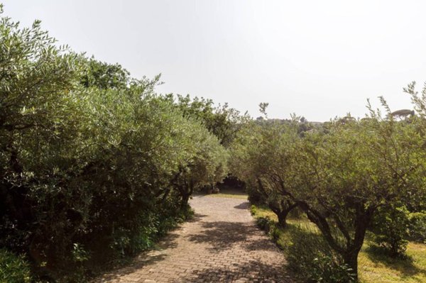 casa indipendente in vendita a Pesaro in zona Mare
