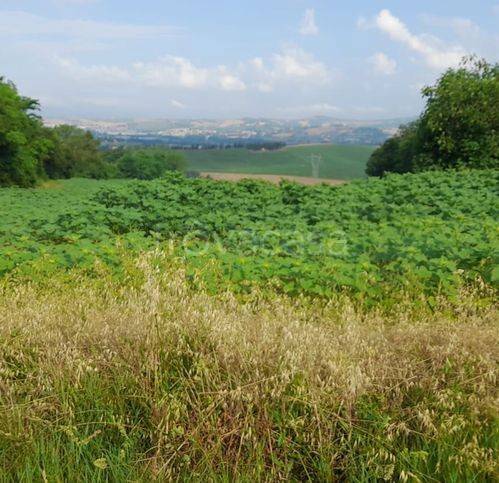 casa indipendente in vendita a Pesaro in zona Villa Fastiggi