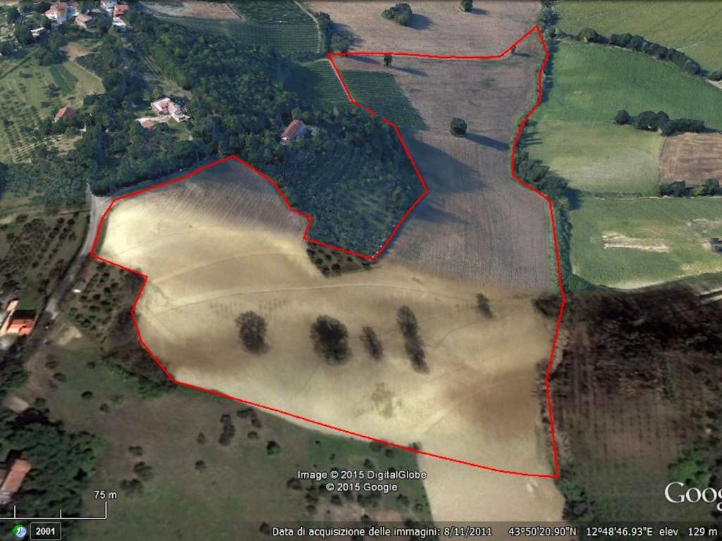 terreno agricolo in vendita a Pesaro in zona Villa Ceccolini