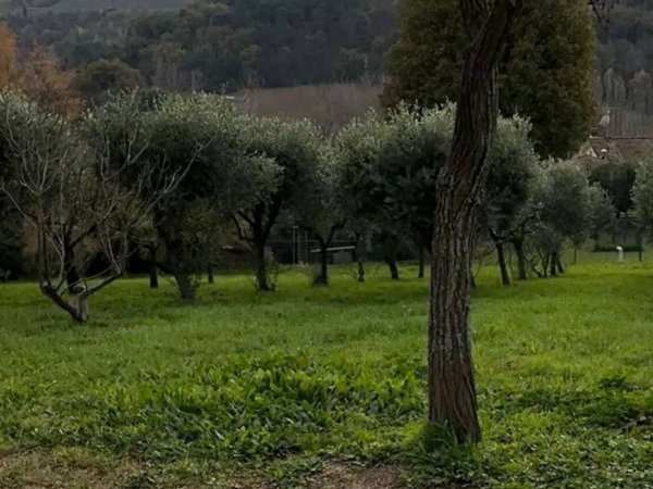casa indipendente in vendita a Pesaro in zona Trebbiantico